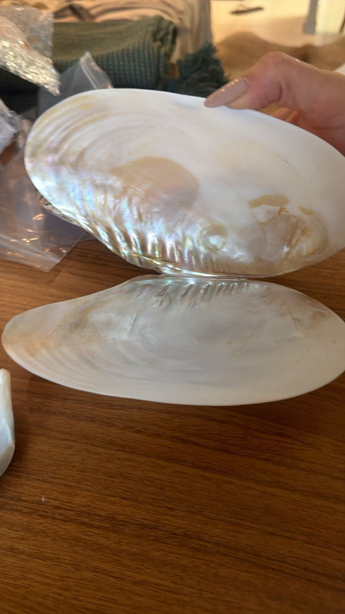 Aparador de Joias Natural | Concha Madre-Pérola de Água Doce